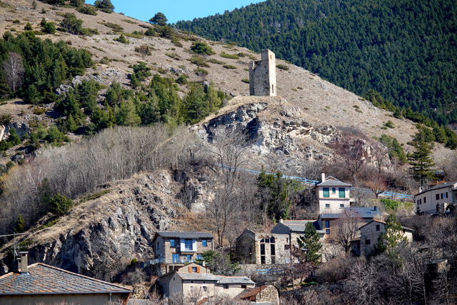 Lire la suite à propos de l’article Sorties passereaux 6 & 7 mars 2024