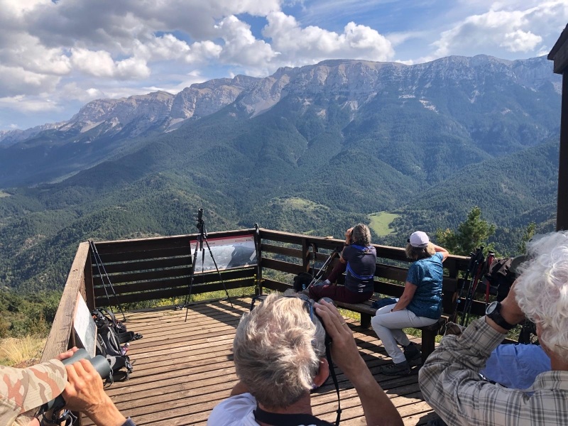 Lire la suite à propos de l’article Sortie naturaliste au Mirador del Turó Galliner le 28 septembre 2025