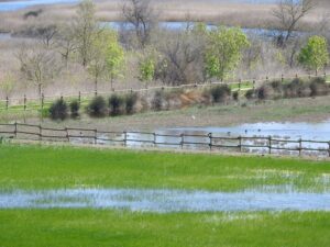 Lire la suite à propos de l’article Deux jours de nature en Espagne : rencontre entre Cerca Nature et les naturalistes montpelliérains